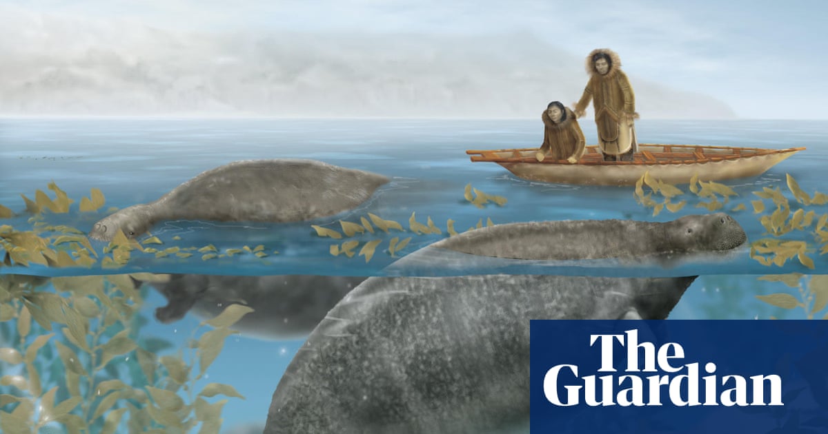 A Gentle Giant’s Downfall – Mirror Brief