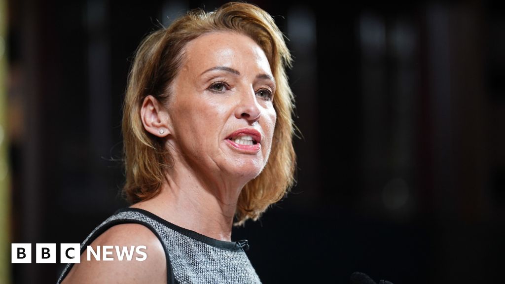 Wes Streeting Labels Reform MP Sarah Pochin’s Remarks on Advertisements as ‘Racist’ – Mirror Brief