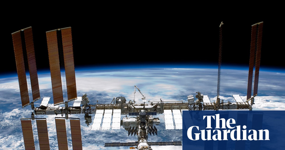 Moss Spores Endure a Nine-Month Journey on the ISS Exterior – Mirror Brief